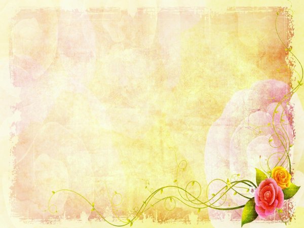 цветочные фоны