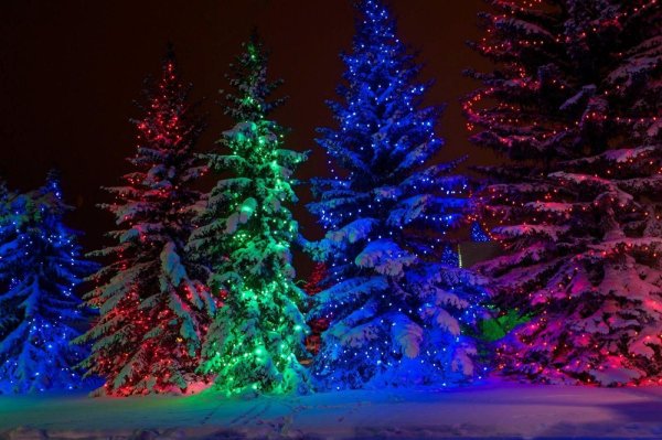 новогодней елки