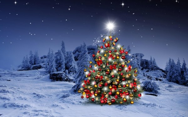 новогодней елки