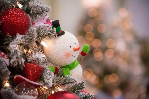 чудо новогоднее