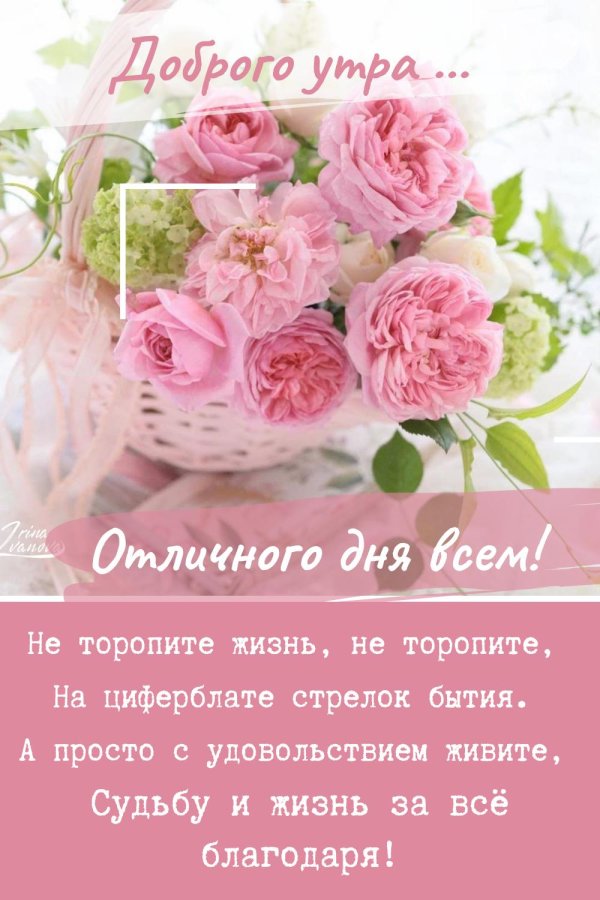 доброе утро с пионами