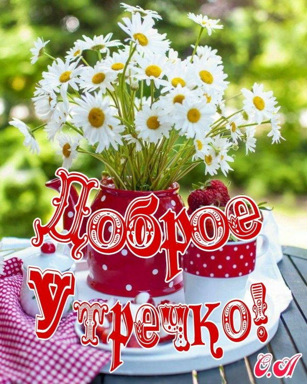 доброго утра с ромашками