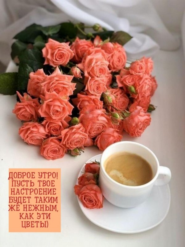 доброе нежное утро