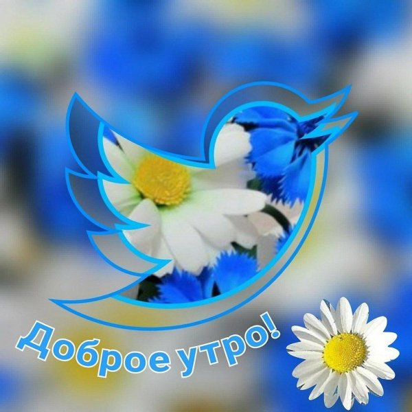 доброе утро голубое