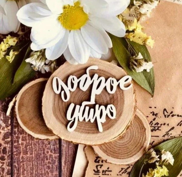 доброго утра стильные