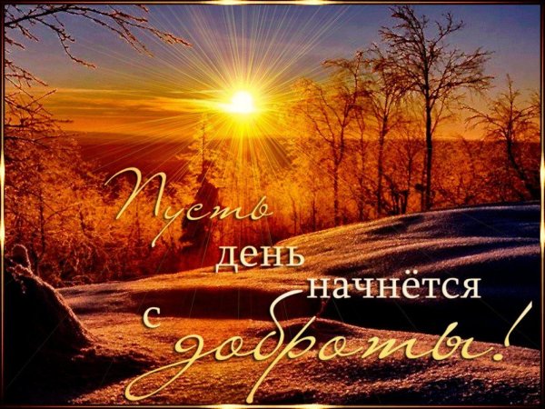 солнце зима