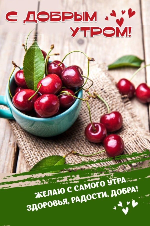 вишня ягода