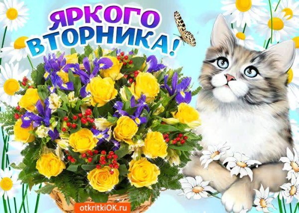 поздравление со вторником