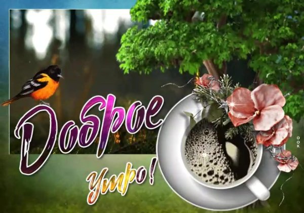 красивая открытка доброе утро