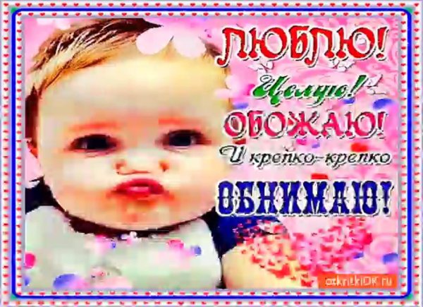 люблю целую