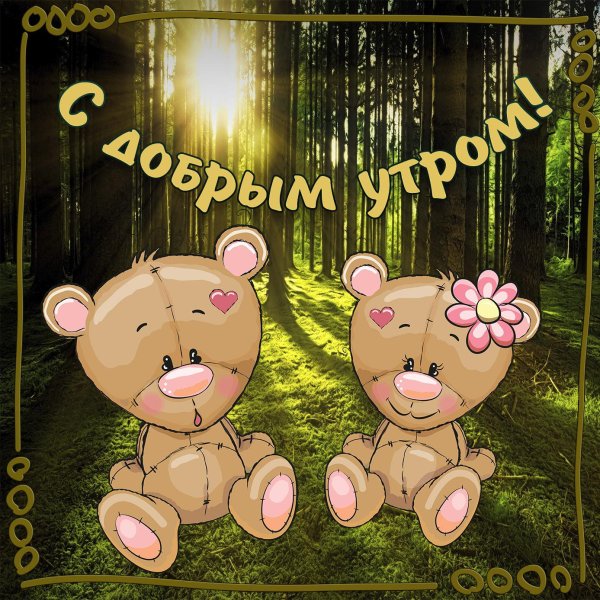 доброе утро медвежата