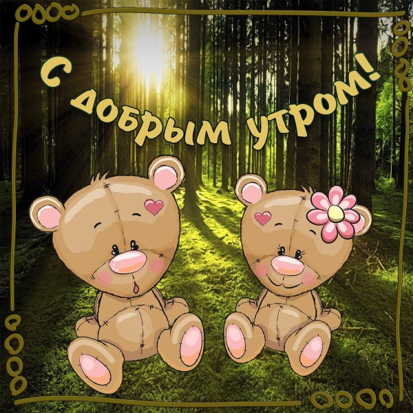 доброе утро медвежата