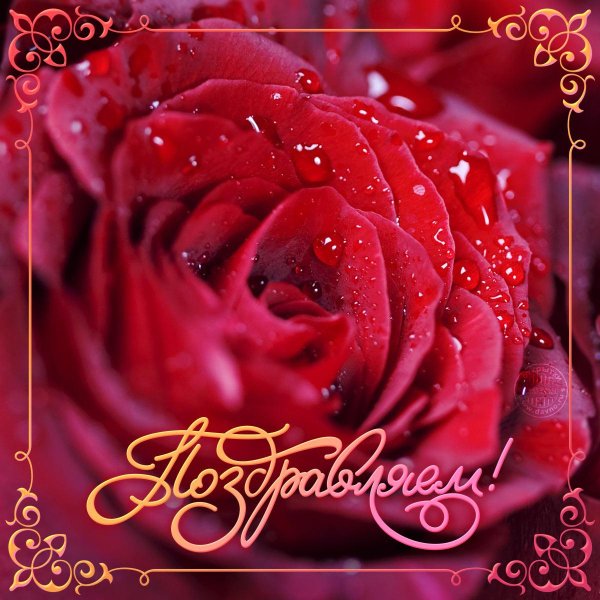 поздравительная открытка