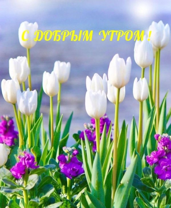 доброе утро с весенними цветами