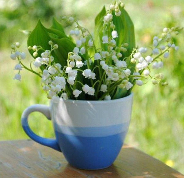 ландыши майские