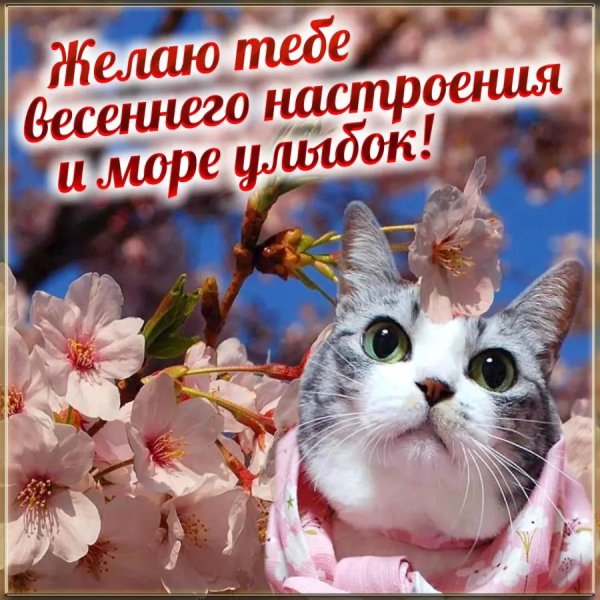 настроение весеннее