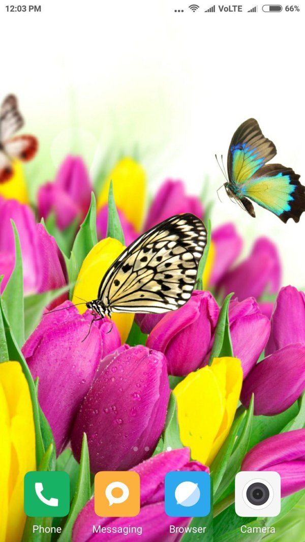 заставка на телефон бабочки