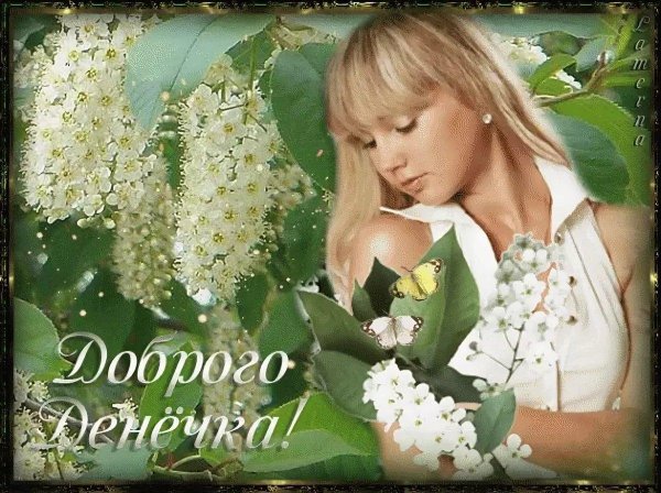 черемуха белая