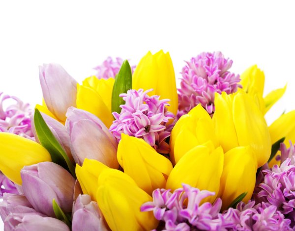 8 марта с тюльпанами