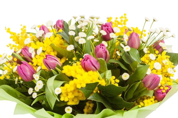 тюльпаны мимоза