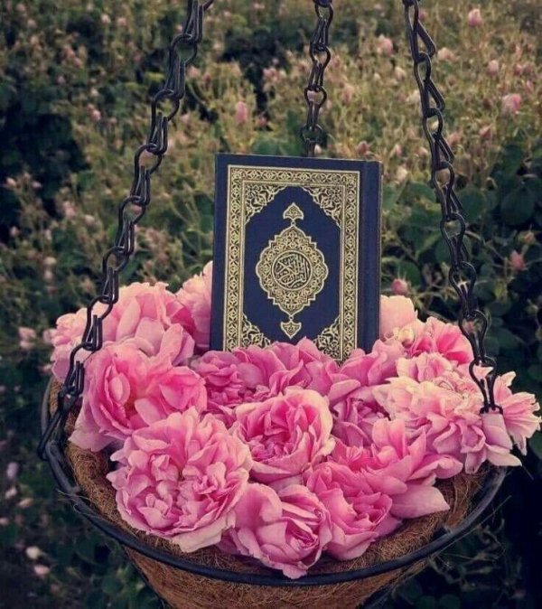 красивый коран