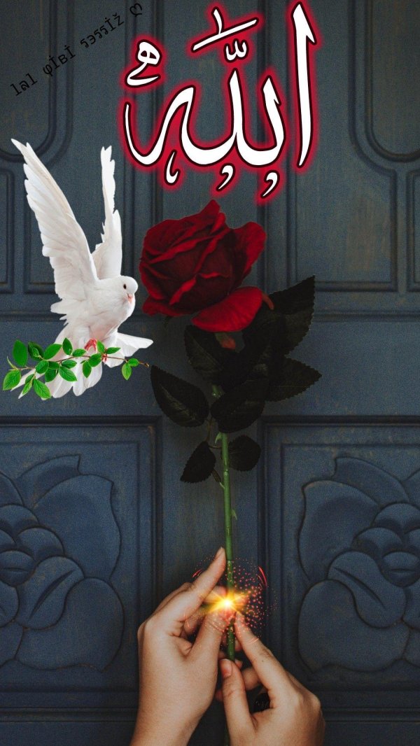 аллах ислам