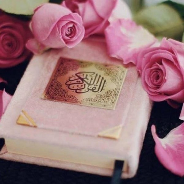 красивый коран