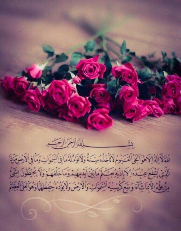 цитата из корана