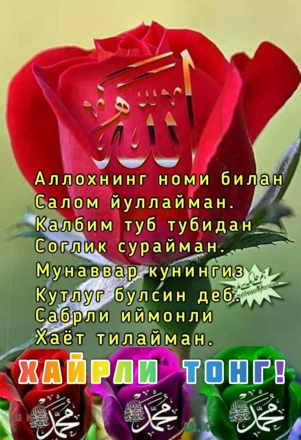 ассаламу алайкум