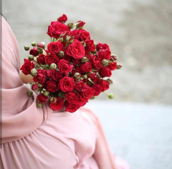 роза красивая