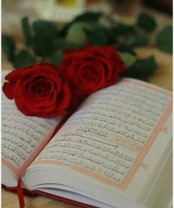 прекрасный коран