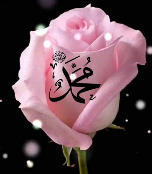 статусы про аллаха