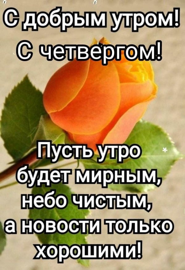 утро четверг