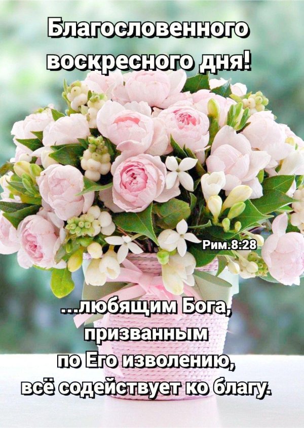 божье благословение