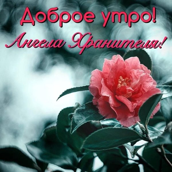 благословенного воскресения