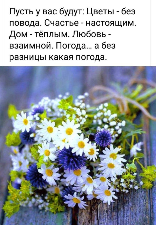 букет полевых цветов