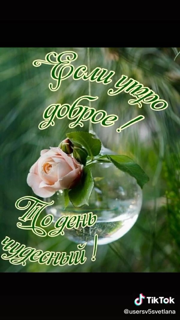 пожелания доброго дня