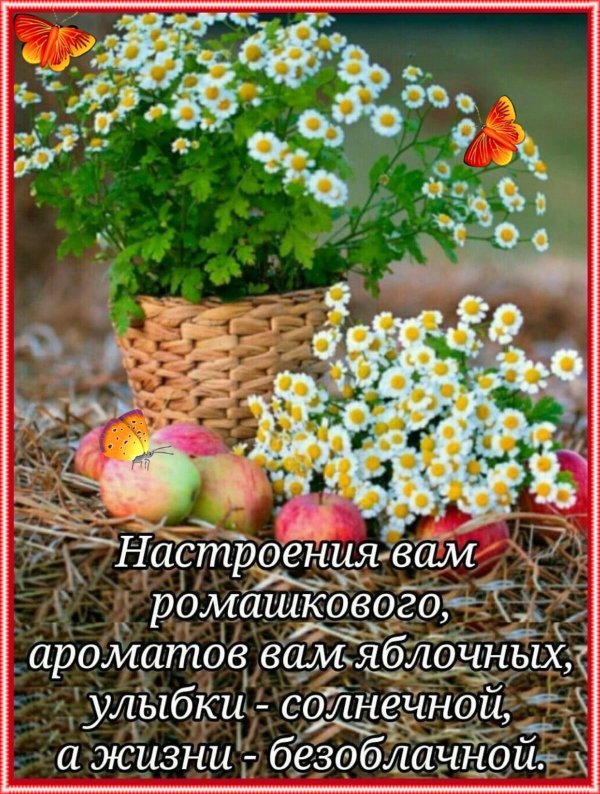 ромашкового настроения на весь день