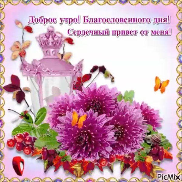 открытки благословенного утра и дня