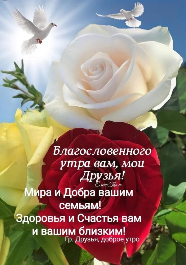 доброго благословенного утра
