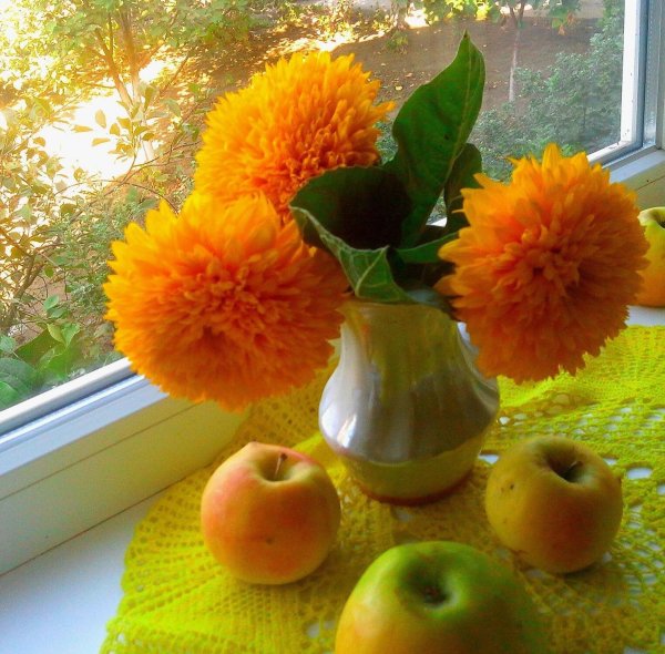 благословенного осеннего утра