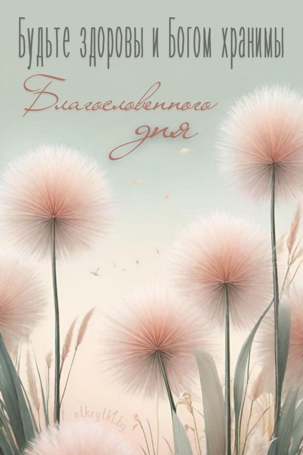 волшебные цветы