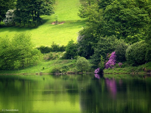 природа горизонтальные