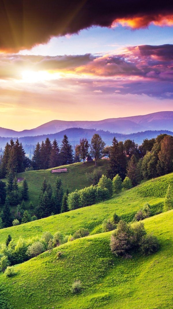 природа красивая