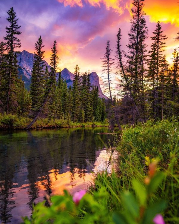 красота природа