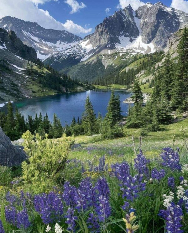 фотографии природа