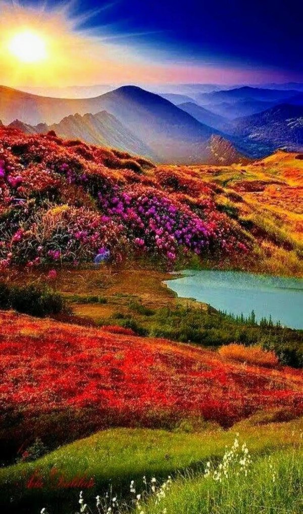 яркая природа