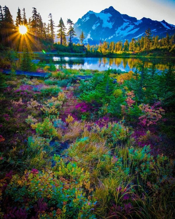 яркий пейзаж