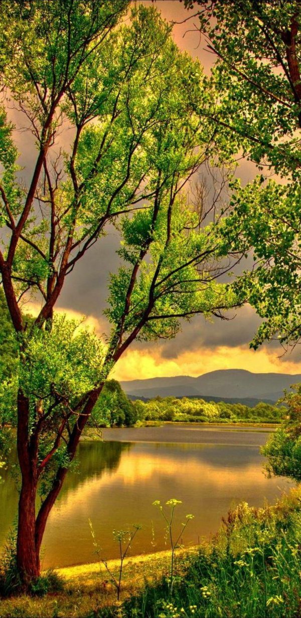 природа красивая