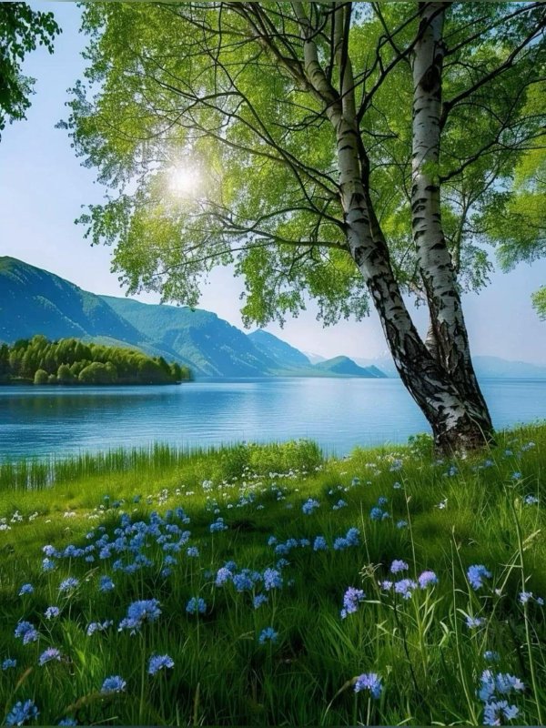 природа лес река березы